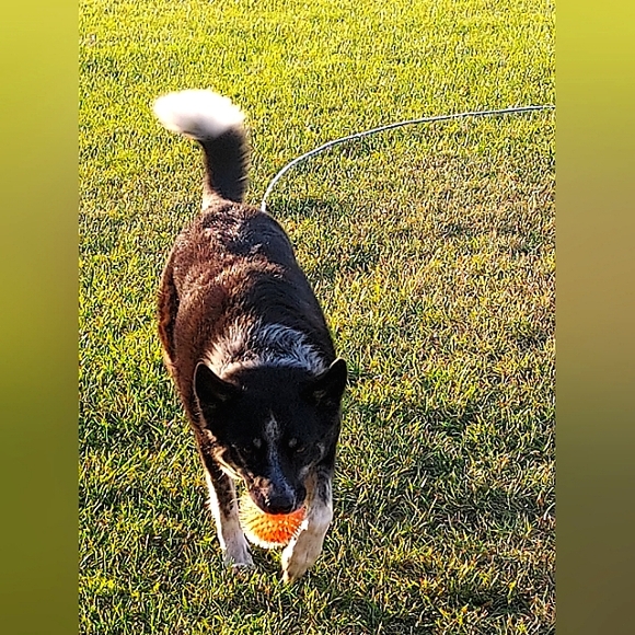 COPY - MISSY'S BLOG - Picture 5 of 8